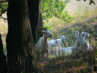 Similar image 455963