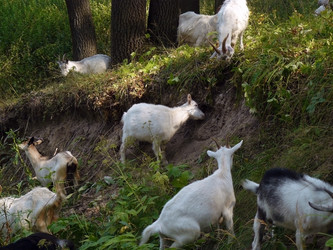 Similar image 455964