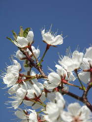 Similar image 455966