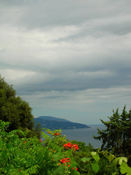 Similar image 455968