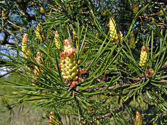 Similar image 456000