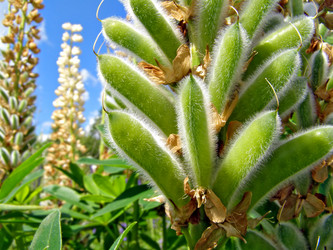 Similar image 456036