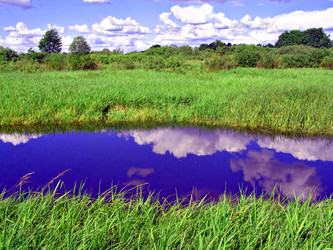 Similar image 456046