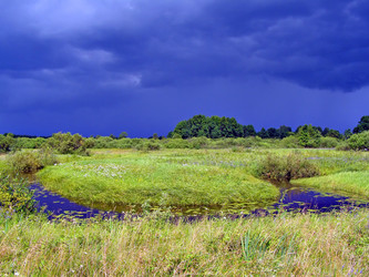 Similar image 456054