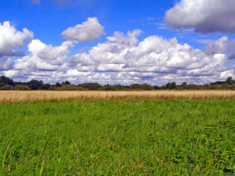 Similar image 456066