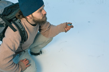 Similar image 456094