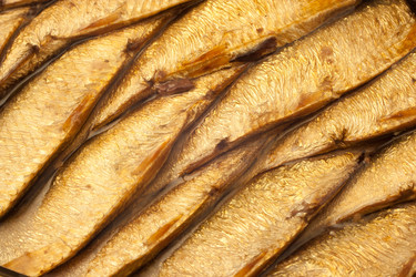 Similar image 456111