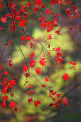 Similar image 456115