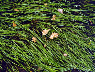 Similar image 456126