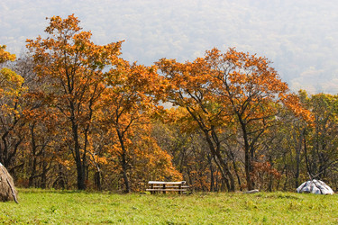 Similar image 456160