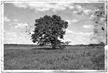 Similar image 456178