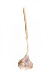 Similar image 456234