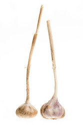 Similar image 456236