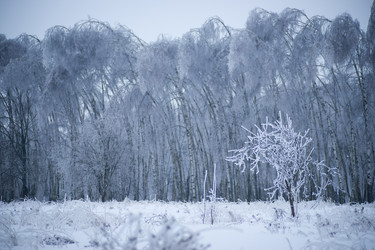 Similar image 456239