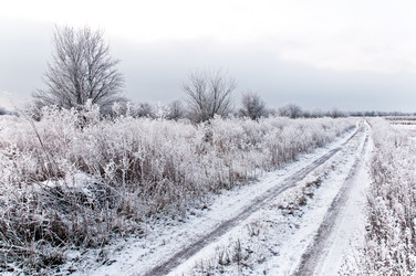 Similar image 456246