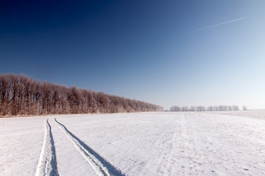 Similar image 456277