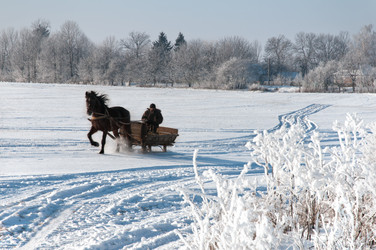 Similar image 456293