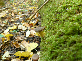 Similar image 456326