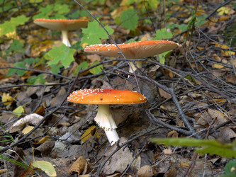 Similar image 456366