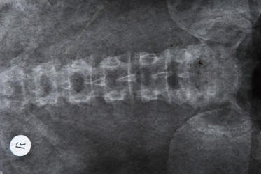 Similar image 456419