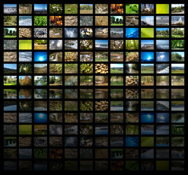 Similar image 456470