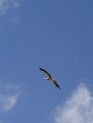 Similar image 456474