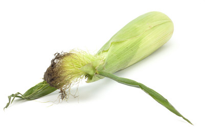 Similar image 456529