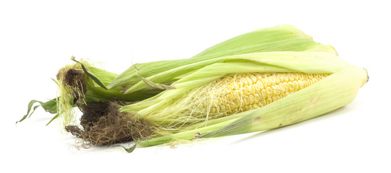 Similar image 456536