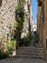 Similar image 456597