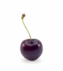 Similar image 456630