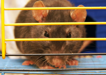 Similar image 456631