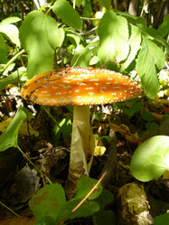 Similar image 456634