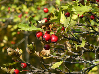 Similar image 456635