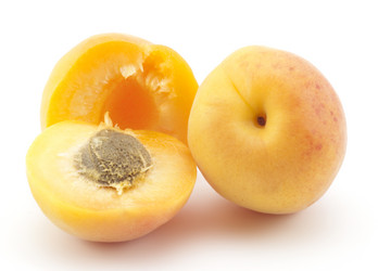 Similar image 456639