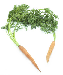 Similar image 456675