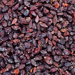 Similar image 456683