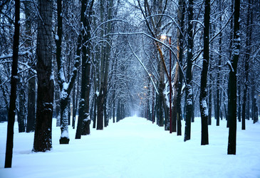 Similar image 456691