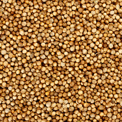 Similar image 456710