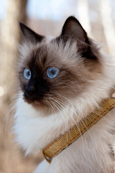 Similar image 456781