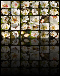 Similar image 456783