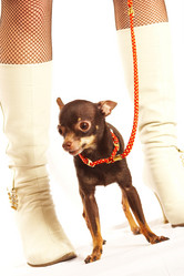 Similar image 456870