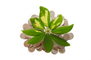 Similar image 456881