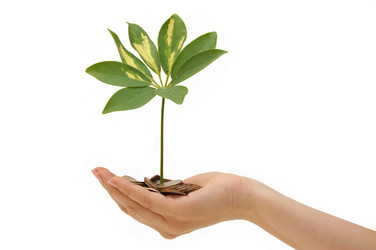 Similar image 456882