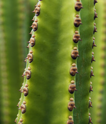 Similar image 457054