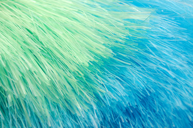 Similar image 457069