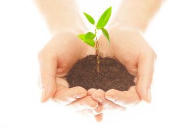 Similar image 457086