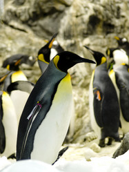 Similar image 457094