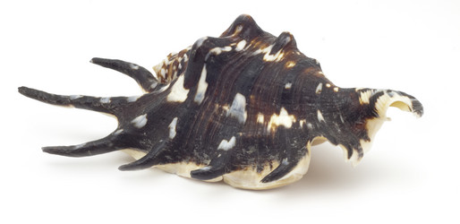 Similar image 457156