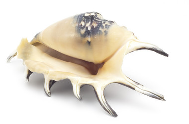 Similar image 457157