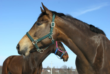 Similar image 457184